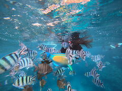 sunny bloom�̎ʐ^1