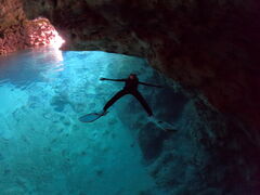 sunny bloom�̎ʐ^2