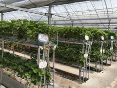 �Ђ̂��������̎ʐ^2