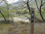 �g�V���[����̌�Ȑ쎩�R�V�����̓��e�ʐ^1