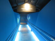 �L������̂����̂��܎����ق̓��e�ʐ^3