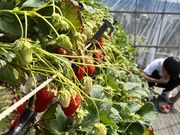 �߂�����̉��R�_���̓��e�ʐ^1