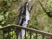 �Ɩ�����̒��q���̑�̓��e�ʐ^10