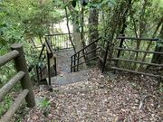 �Ɩ�����̒��q���̑�̓��e�ʐ^7