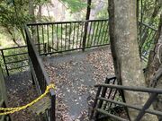 �Ɩ�����̒��q���̑�̓��e�ʐ^8