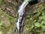 �Ɩ�����̒��q���̑�̓��e�ʐ^9