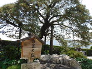 �O���`������̂��{�̏��̓��e�ʐ^1