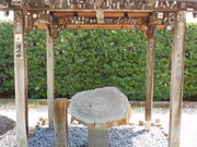 �O���`������̂��{�̏��̓��e�ʐ^2