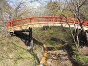 �g�V���[����͎̉����̓��e�ʐ^1