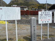 �g�V���[����̎s��̃T�C�J�`�̓��e�ʐ^1