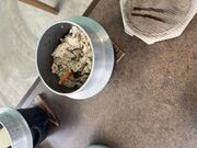 �~-�i����̕l�c���Y�̓��e�ʐ^2