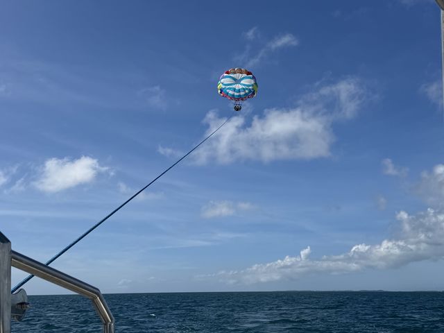 �p���Z�[�����O_�{�Ó��p���Z�[�����O all good marine 385