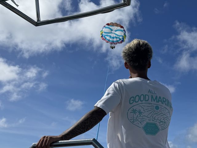 �D���V�����������悩�����ł��B_�{�Ó��p���Z�[�����O all good marine 385