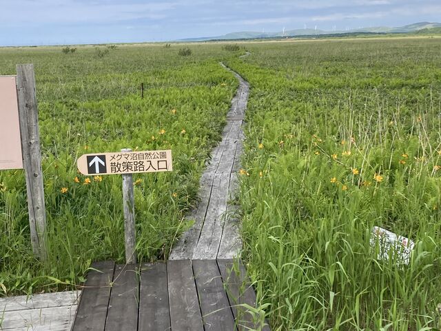 hotaru����̃��O�}�����R�����̓��e�ʐ^1