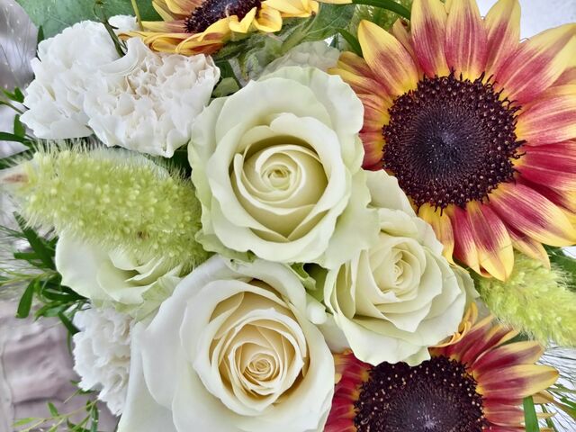 �����u�[�P���ł��܂���_���v���W�[��