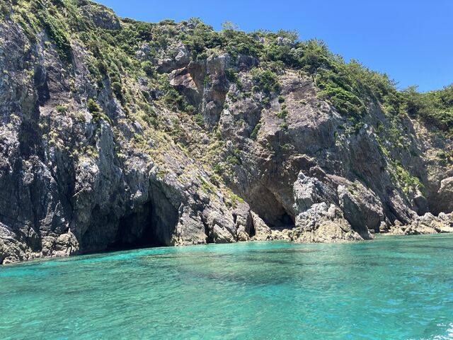 �����J�����������čs������悩�����c_�C�V�т�minami
