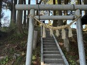���炳�炳�񂲂���̎��T�R�̓��e�ʐ^2