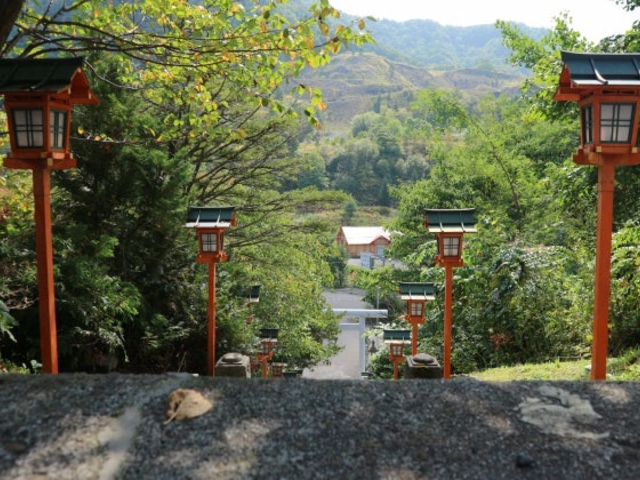 �[���_��