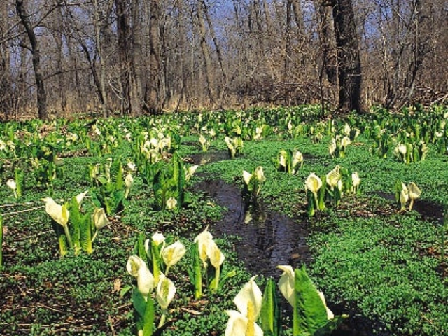 �ԑ��΂̐��m��