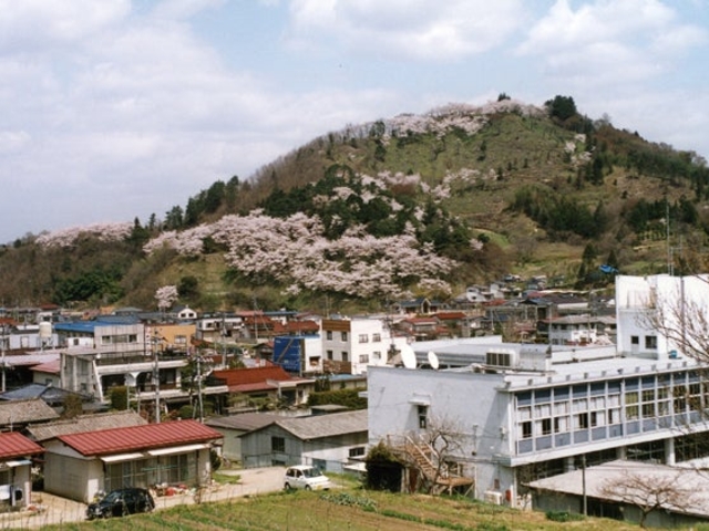 ���P�R�̍��̎ʐ^1