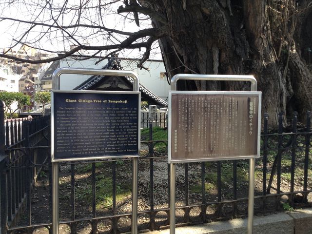 �P�����̃C�`���E