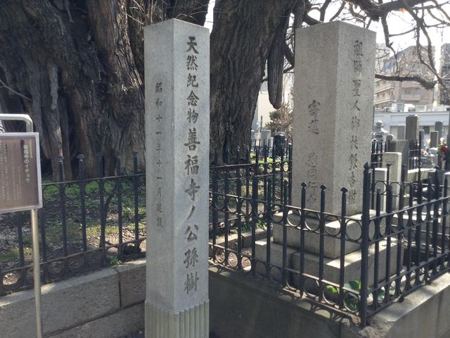 �P�����̃C�`���E