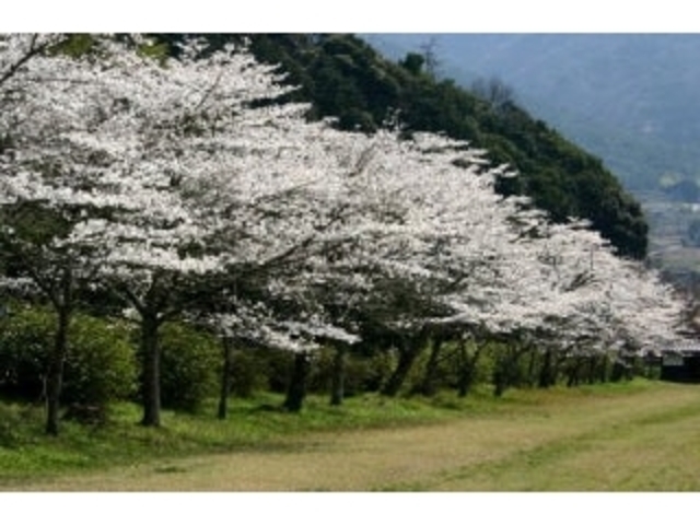 �h�������^������_�h�������^������