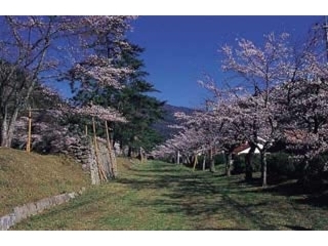 �h�������^������