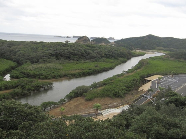 ���q���M�����n�Q