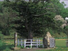 �׉��̏��̎ʐ^1