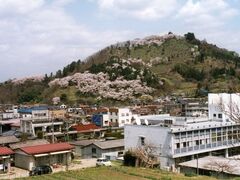 ���P�R�̍��̎ʐ^1