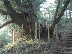 �����̐X�̃V�C�̎ʐ^1