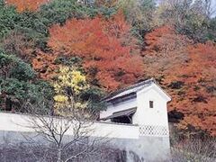 �x�뉀�^���݂��̎ʐ^1