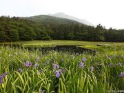 �P���r�̃J�L�c�o�^�Q���̎ʐ^1