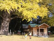 �{�Y�{�̃C�`���E�̎ʐ^1