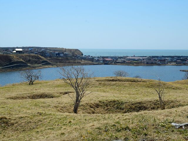 �j�Տt�̑�n�G���Q