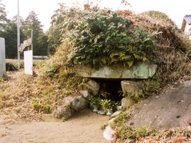 �����{�̒i�Õ��̎ʐ^1