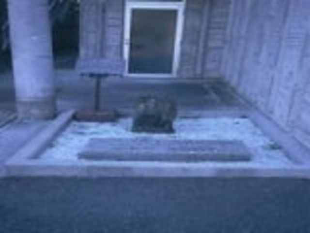 ���鉺�X�����W�΂̎ʐ^1