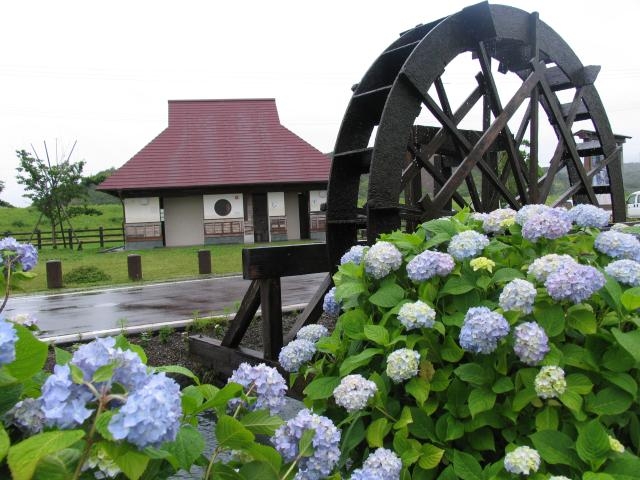 �������y�юl�����a