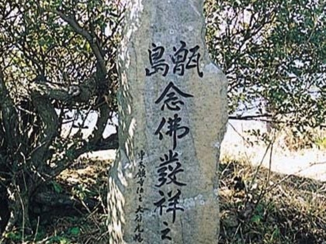 �O�����˔�̎ʐ^1