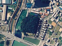 �V�R�Õ��̎ʐ^1