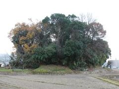 ���{�Õ��̎ʐ^1