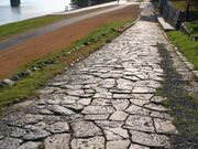 �ؑ]��}���n�D��ՁE�Ώ�̎ʐ^1