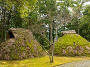 ���V���Ղ̎ʐ^2