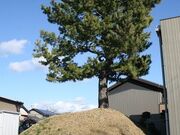 ���}���ꗢ�˂̎ʐ^1