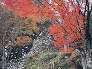 ������Ղ̎ʐ^2