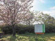 �V�R�Õ��̎ʐ^4