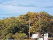 �V�R�Õ��̎ʐ^3