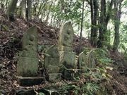 �������q�Ղ̎ʐ^1