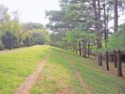 �L����h�̎ʐ^1